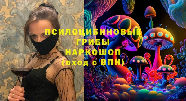 mix Белокуриха