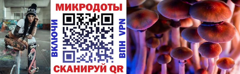 Галлюциногенные грибы ЛСД  Купить где  Касли 